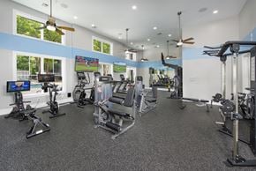 Homewood apartment for rent - A spacious gym with a variety of equipment and a television screen.