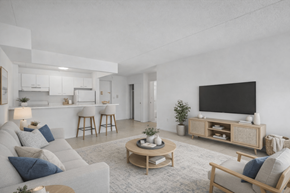 Far Rockaway apartment for rent - A modern living room with a grey sofa, a wooden coffee table, and a black television.