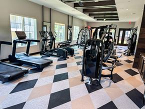 Spring Hill apartment for rent - A gym with a variety of equipment including treadmills, weights, and exercise machines.