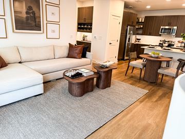 Spring Hill apartment for rent - A modern living room with a white couch and a grey rug.