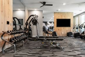 Charlotte apartment for rent - A gym with a variety of equipment including a row of dumbbells, a bench press, and a television.