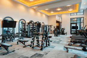 San Antonio apartment for rent - A well-equipped gym with a variety of machines and weights.