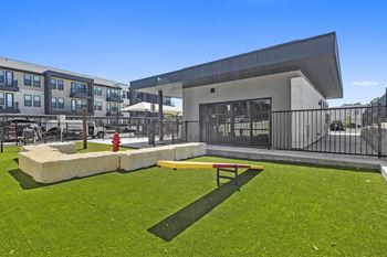 Dog park and pet spa