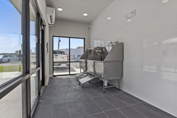 Dog park and pet spa
