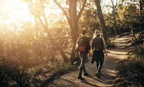 Littleton apartment for rent - Two people walking on a path in a sunny forest.