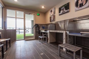 Pet care center