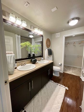 Double sink bathroom vanities *
