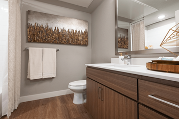Dual vanities*