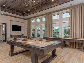 Littleton apartment for rent - a games room with a pool table and a tv