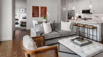 San Antonio apartment for rent - A modern living room with a grey sofa and a wooden chair.