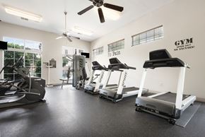 Houston apartment for rent - the gym with treadmills and ellipticals at the enclave at woodbridge apartments