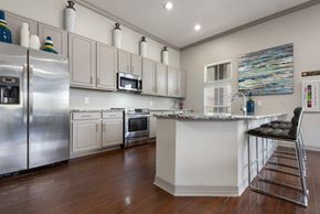 Houston apartment for rent - a kitchen with stainless steel appliances and a counter top