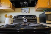 Big Spring townhouse for rent - A black stove top with a pot on it.