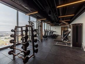 Chicago apartment for rent - a gym with weights and a view of the city
