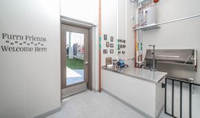 Chicago apartment for rent - Pet Spa with wall of paws photos