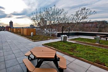 Rooftop deck