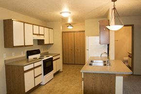 Tea apartment for rent - a kitchen with a sink a stove and a refrigerator