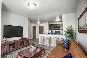 Rapid City apartment for rent - A living room with a brown couch and a flat screen TV.