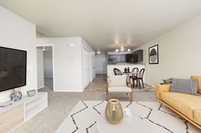 Sioux Falls apartment for rent - A living room with a tan couch, a television, and a rug.
