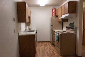 Sioux Falls apartment for rent - a kitchen with a stove refrigerator and a sink