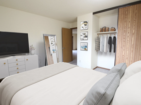 Sioux Falls apartment for rent - a bedroom with a bed and a tv and a closet