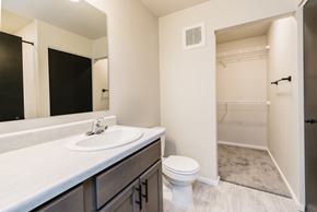 Rock Valley apartment for rent - A white toilet sits in a bathroom with a sink and mirror.