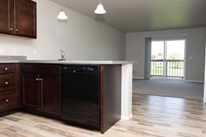 Tea apartment for rent - a kitchen with a sink and a dishwasher in a new home