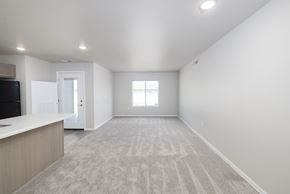 Mitchell apartment for rent - A spacious, empty room with a carpeted floor and a window.
