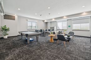 Omaha townhouse for rent - A room with a pool table, chairs, and a potted plant.