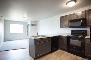 Rapid City apartment for rent - A kitchen with dark brown cabinets and appliances.