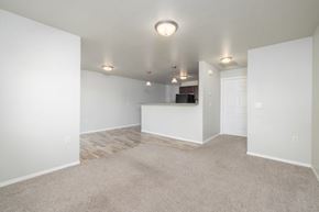 Sioux Falls apartment for rent - A spacious room with a carpeted floor and a flat-screen TV mounted on the wall.
