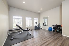 Sioux Falls apartment for rent - A home gym with a bench, weights, and exercise balls.