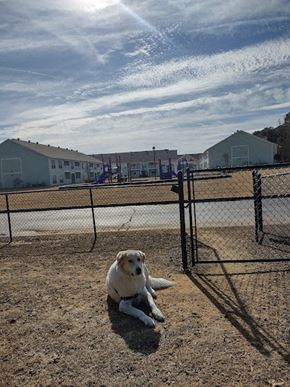 Searcy apartment for rent - Dog Park