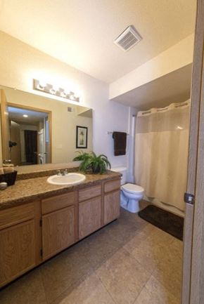 Searcy apartment for rent - Bathroom