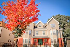 Newark apartment for rent - an apartment building with an orange tree in front of it