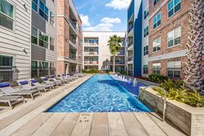 San Antonio apartment for rent - a swimming pool with chaise lounge chairs and palm trees in front of an apartment building at Republic at Alamo Heights, Texas