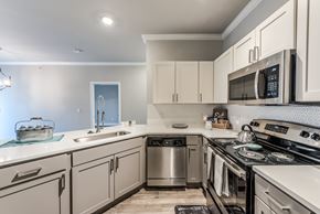 Conroe apartment for rent - A modern kitchen with a stainless steel dishwasher and oven at Rosemary Apartments, Conroe, Texas