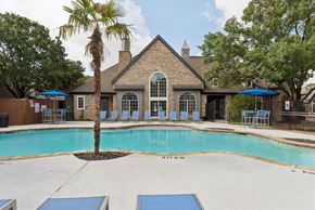 San Antonio apartment for rent - A pool area with a palm tree and a building in the background.