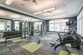 Katy apartment for rent - State Of The Art Fitness Center at Seville at Clay Crossing, Texas