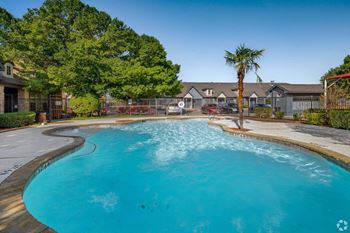 Outdoor pool with palm tree and deck