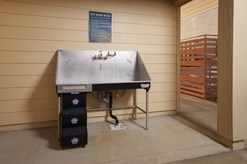 Pet washing station