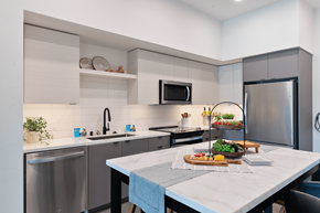 Sacramento apartment for rent - The A.J. Modern Kitchen & Appliances