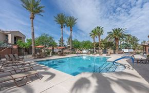 Las Vegas apartment for rent - A pool surrounded by palm trees and lounge chairs.