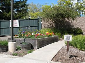Santa Rosa apartment for rent - Vintage Zinfandel garden