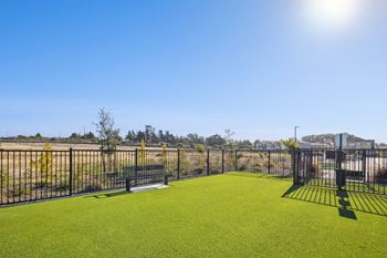 Dog park