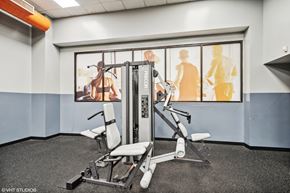 St. Louis apartment for rent - a gym with weights and cardio equipment in a building at Delmar Loop Apartments, Missouri