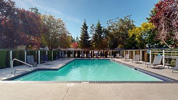 Shimmering swimming pool