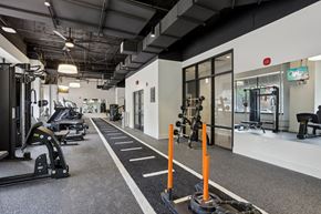St. Louis apartment for rent - A gym with a variety of equipment including treadmills, weights, and exercise machines. at The Era Collective, St. Louis, 63108