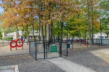 Bark park