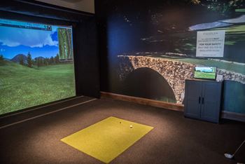 Virtual golf simulator
